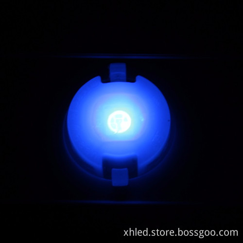 Factory Price BLUE 0.3W DC12V 5050 20mm Outdoor Waterproof IP67 SMD LED Pixel Light